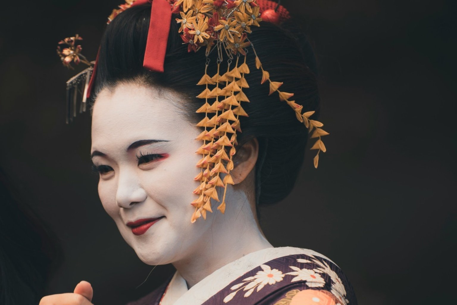 geisha_cropped_1536x1024